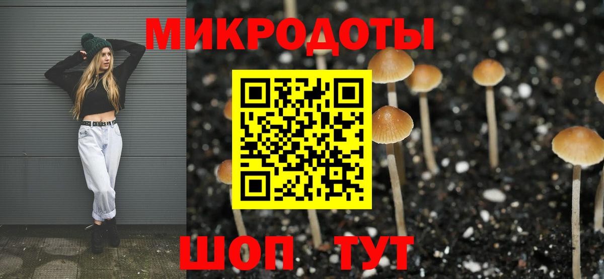 Галлюциногенные грибы ЛСД Нурлат